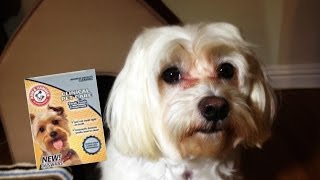 Arm and Hammer Dental Swabs: Dog Product Review