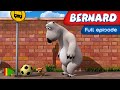Bernard Bear 47 The Little Dog Full Episode