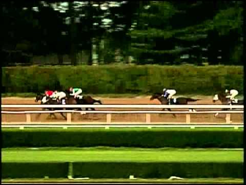 Cigar - 1996 Woodward (G1)