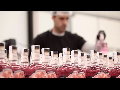 download lagu mp3 mp4 Vermut Siderit, download lagu Vermut Siderit gratis, unduh video klip Vermut Siderit