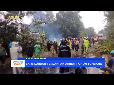 SATLANTAS POLRESTA BOGOR, AMANKAN AREA &amp; BANTU EVAKUASI POHON TUMBANG, KORBAN DIEVAKUASI KE RS PMI