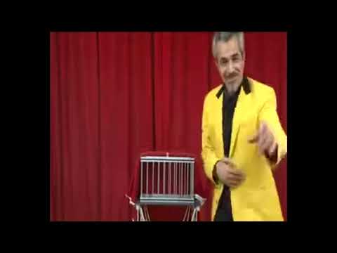 Saturn Magic - Silver Dove and Rabbit Cage by Tora Magic