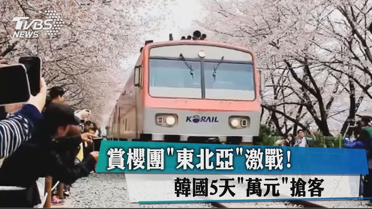 賞櫻團「東北亞」激戰! 韓國5天「萬元」搶客