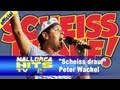 Scheiss drauf, Malle ist nur einmal im Jahr - Peter ...