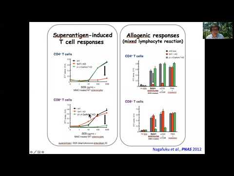 Homeostatic and pathogenic roles of GM3 ganglioside - Oct 5th 2020
