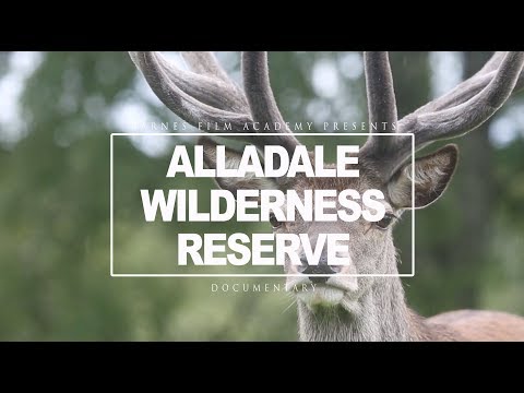 ALLADALE DOCUMENTARY
