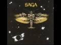 Perfectionist - Saga