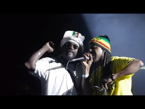 The Scientist - The Scientist at the Dub Club Featuring General