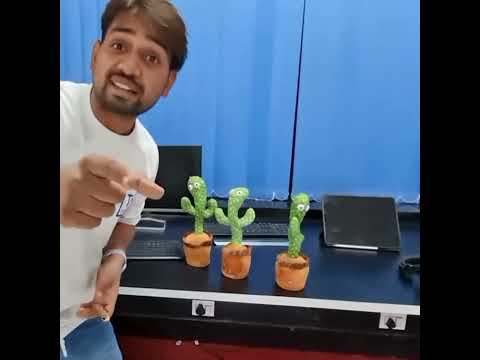 Talking With 100 Talking Cactus - Worth ₹50000/-