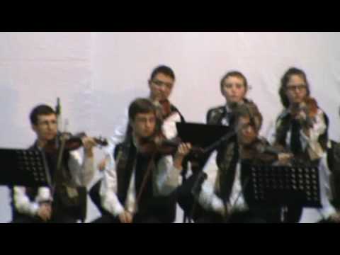 Rapsodia bihoreana -Sarba concertanta