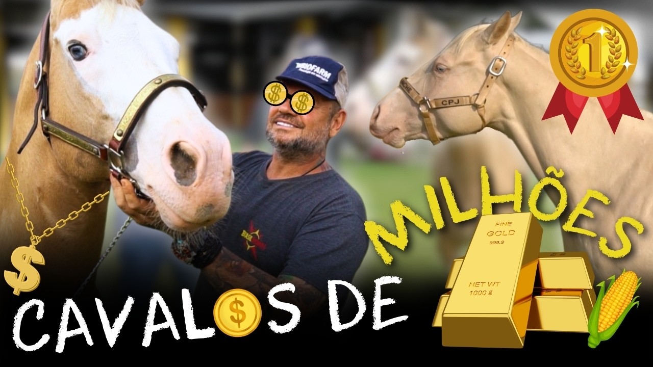 O CAVALO BILIONÁRIO! UM GARANHÃO QUE GANHA MILHÕES POR ANO!