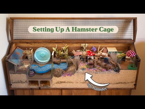 Set Up Another Hamster Cage With Me | Lotus' Woodland Garden