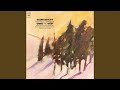 Variations Chromatiques: Var. 1. Un pochissimo piu allegretto (Remastered)