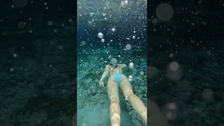 isn’t it pretty???