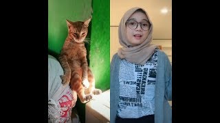 Download lagu TIK TOK MUNGKIN SANG FAJAR mp3 Download lagu TIK TOK MUNGKIN SANG FAJAR mp3