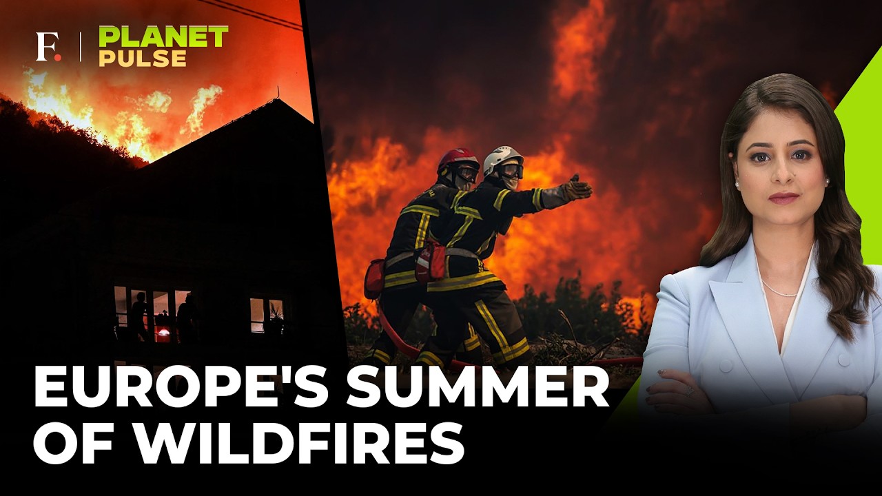 European Countries Battle Worst Wildfire Season In Decades Amid Record Heat | Planet Pulse | 4K