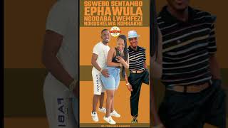 Download lagu Sgwebo SentamboEphawula ngodaba lweMfezi nokushelwa komkakhe mp3