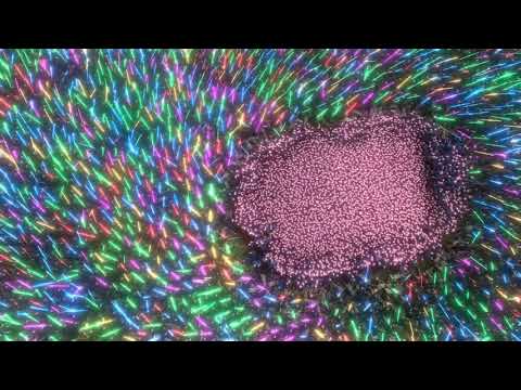 5000 Darth maul vs 20000 Jedi  - Light and darkness - good and evil