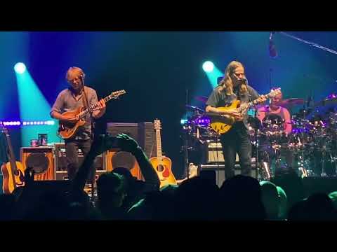 Phish with Billy Strings ~ What’s Going Through Your Mind (Debut) ~ 8/7/24 ~ Grand Rapids, MI