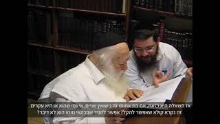 הרב חיים קנייבסקי פוסק האם מותר להתחתן עם אחיינית ולהתחתן עם הדוד לדעת החזון איש rav chaim kanievsky