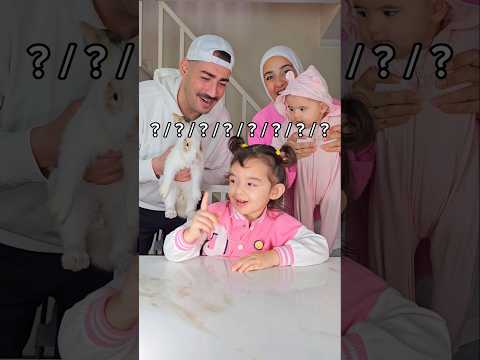 Pick one 👇Sweet 🍫 or Healthy 🥒?