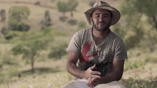 Image for Programa Crescer - Histórias de Transformação com Nico