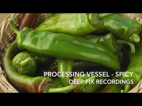 Processing Vessel  - Spicy (Original Mix)