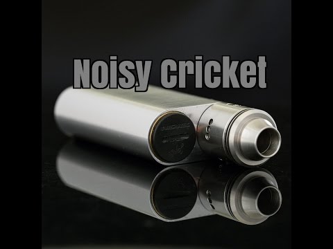 Noisy Cricket Review