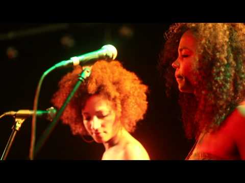 Flo Mega & The Ruffcats "Zurück" (Live Version)