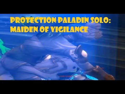 Solo Maiden of Vigilance [7.3.5]