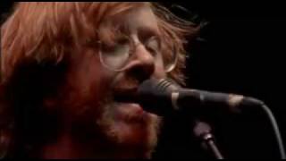 Phish- Waste