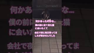 #cat#ねこ