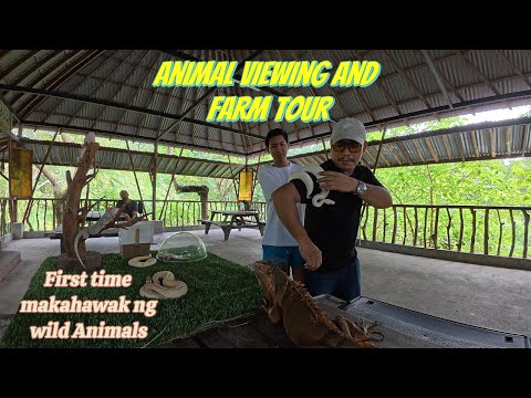 Animal Viewing and Farm Tour @Kubli Farm, Arts and Nature Camp
