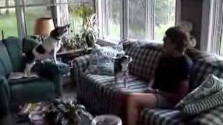 freddy and dolores singing