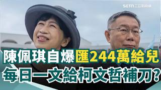 陳佩琪自爆匯款244萬給兒  張育萌：每日一文給柯文哲補刀｜三立新聞網 SETN.com