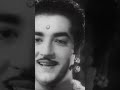 പുല്ലാണെനിക്കു നിന്റെ Unniyarcha P Leela Shorts
