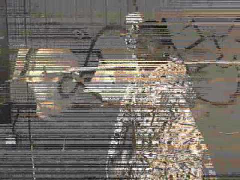 How We Get down video