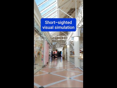 20100 Vision Simulator