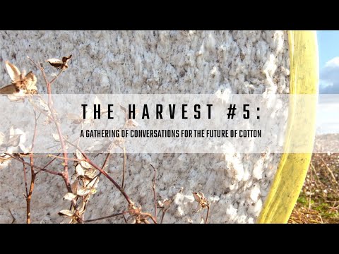 The Harvest #5: Fabric Finishing at Carolina Cotton Works