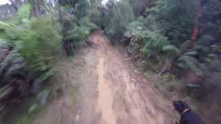 Down-Hill run, Success Trail, Coromandel