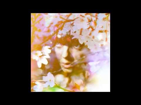 A Sudden Burst Of Colour - Blind Obedience