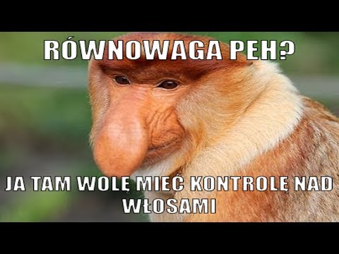 Olejek do włosów kosztów Które narzędzie do wykorzystania do szybszego wzrostu włosów
