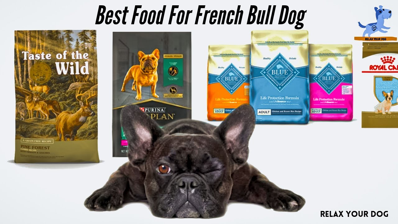 Best Dog Foods For a French Bulldog With Sensitive Stomach