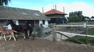 Download lagu VID 20140513 170630 mp3