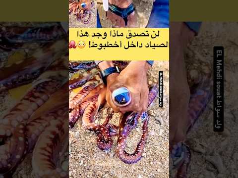 لن تصدق ماذا وجد هذا الصياد داخل أخطبوط! 😳🐙
