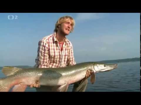 Za obřími rybami s Jakubem Vágnerem - Kostlín obrovský (2.část)