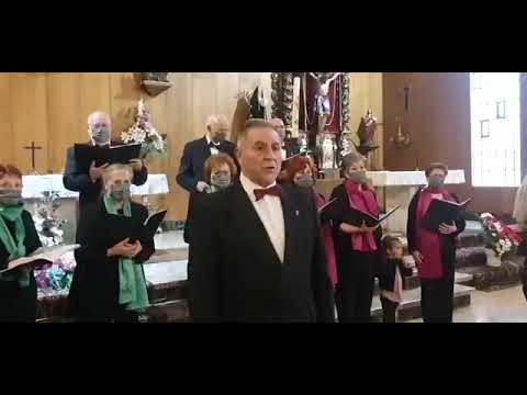 Ver vídeo