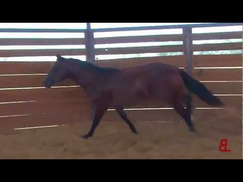 A Mercedes With A Whiz