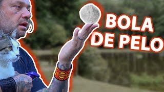 Miniatura do vídeo