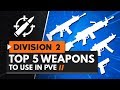 TOP 5 PVE WEAPONS IN THE DIVISION 2